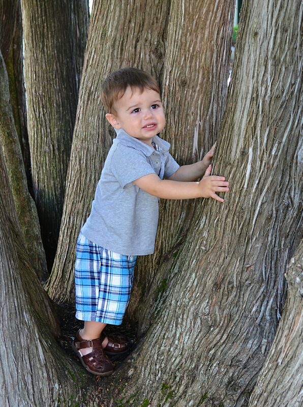 Cam in the Cedar